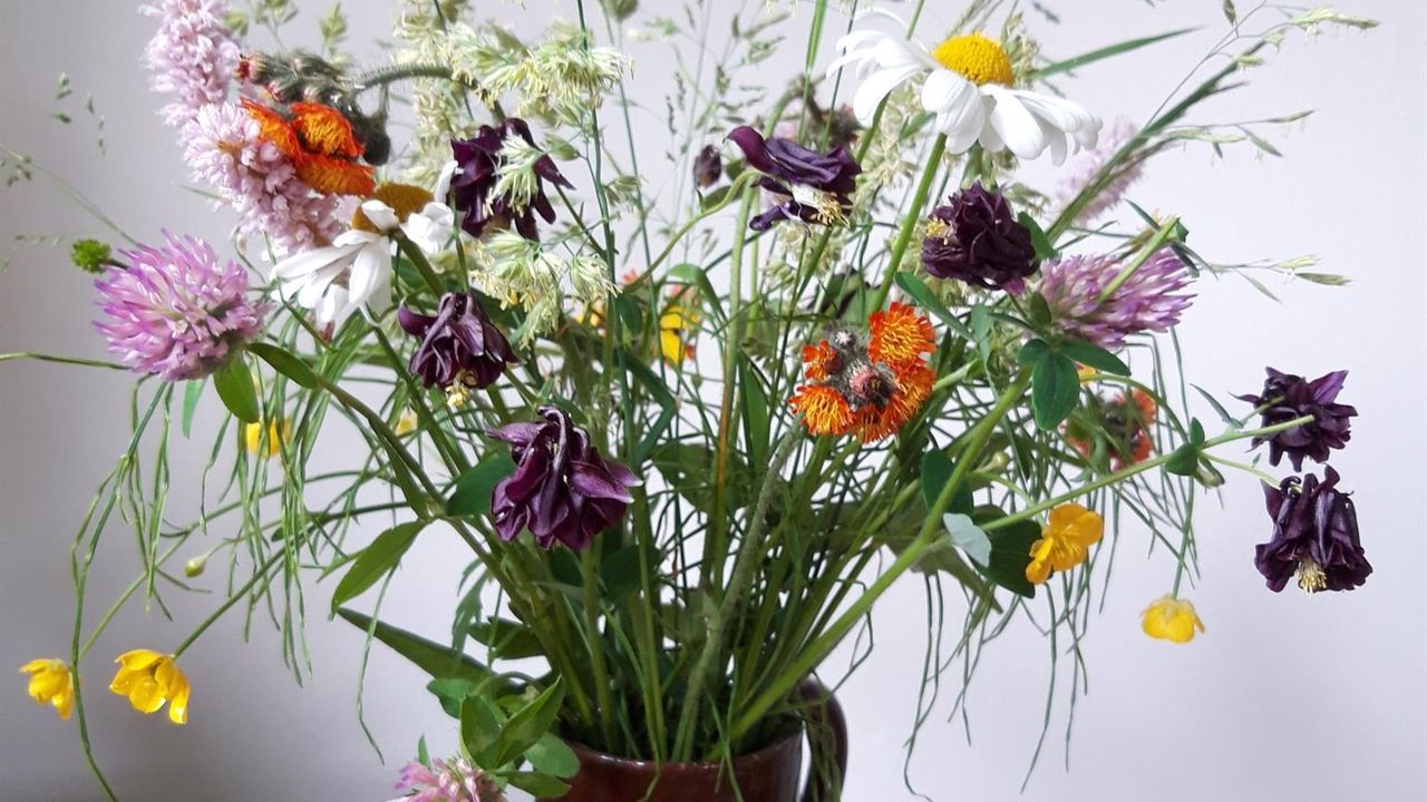 20210621_143248_resized 20210621_143248_resized